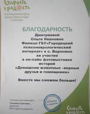 Участие в онлайн фотовыставке историй «Домашние животные-верные друзья и помощники».