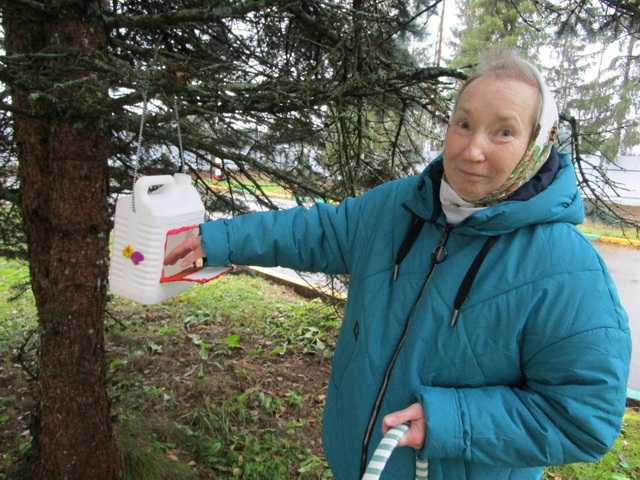 Подарим кормушки зимующим птицам